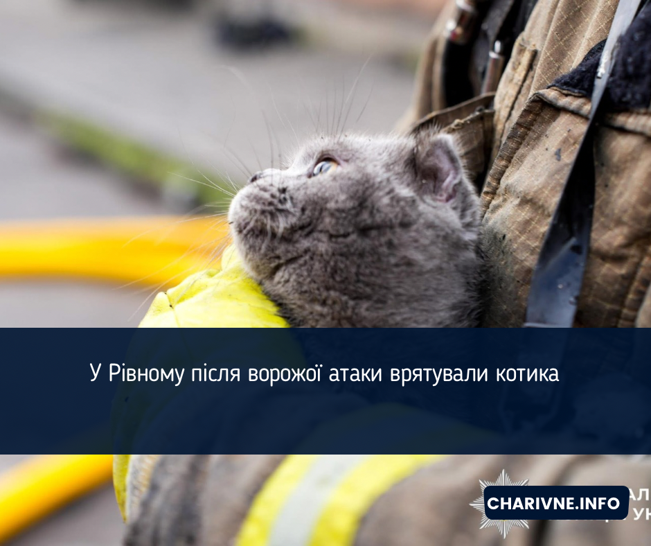 Фото ілюстративне